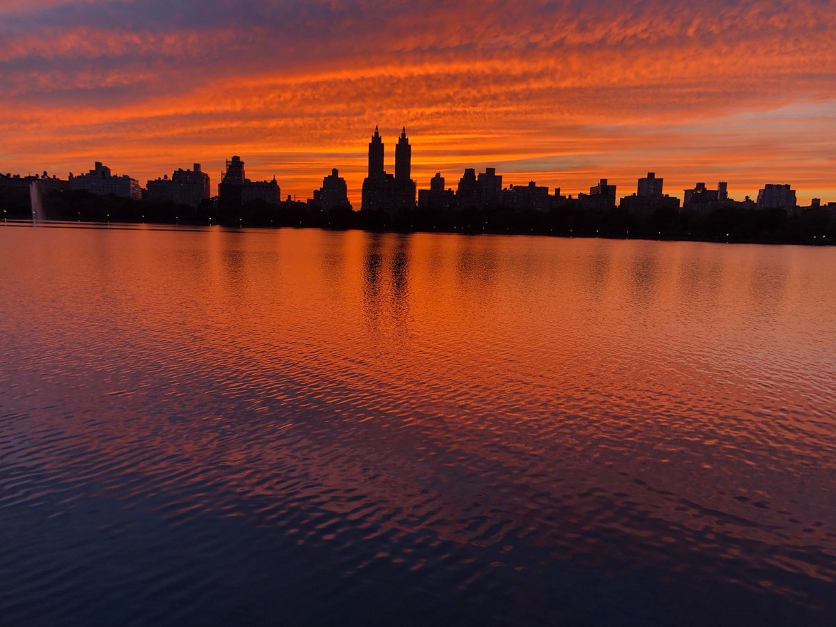 feldstej's tweet image. #fridayvibes #happyhalloween #fridaythoughts #tgif #nyc