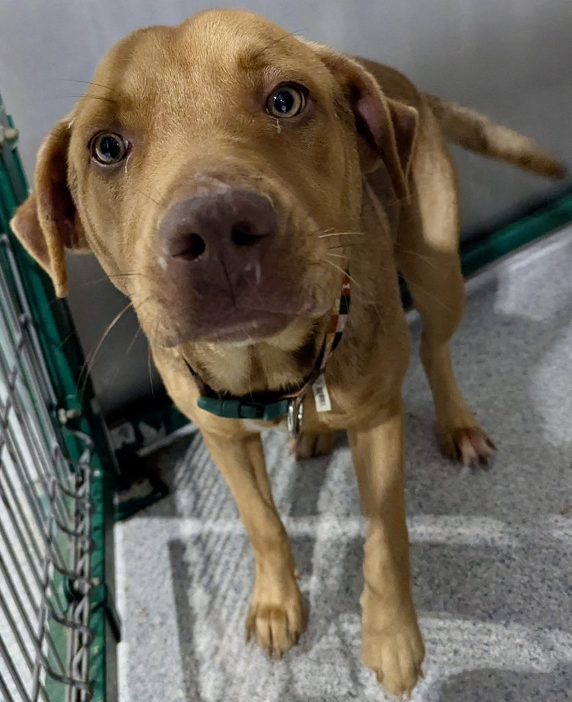 Donna Lac tweet media