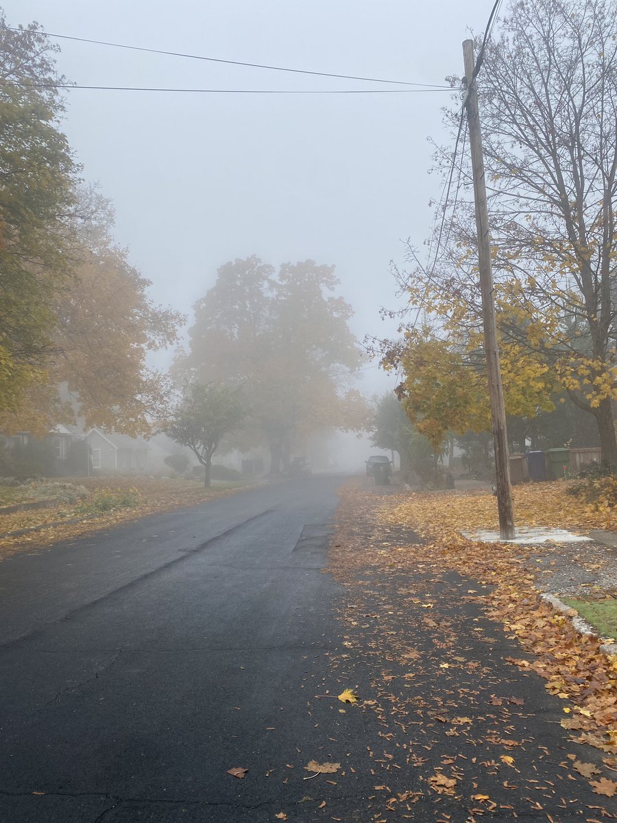 _Beora's tweet image. Happy Halloweekend, Gang 🎃

Will post some spooky photos thru the night 🦇