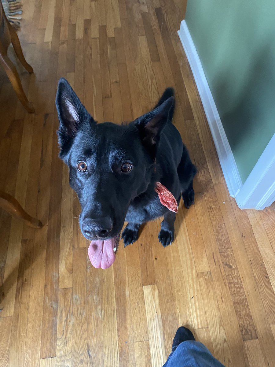 _Beora's tweet image. Happy Halloweekend, Gang 🎃

Will post some spooky photos thru the night 🦇