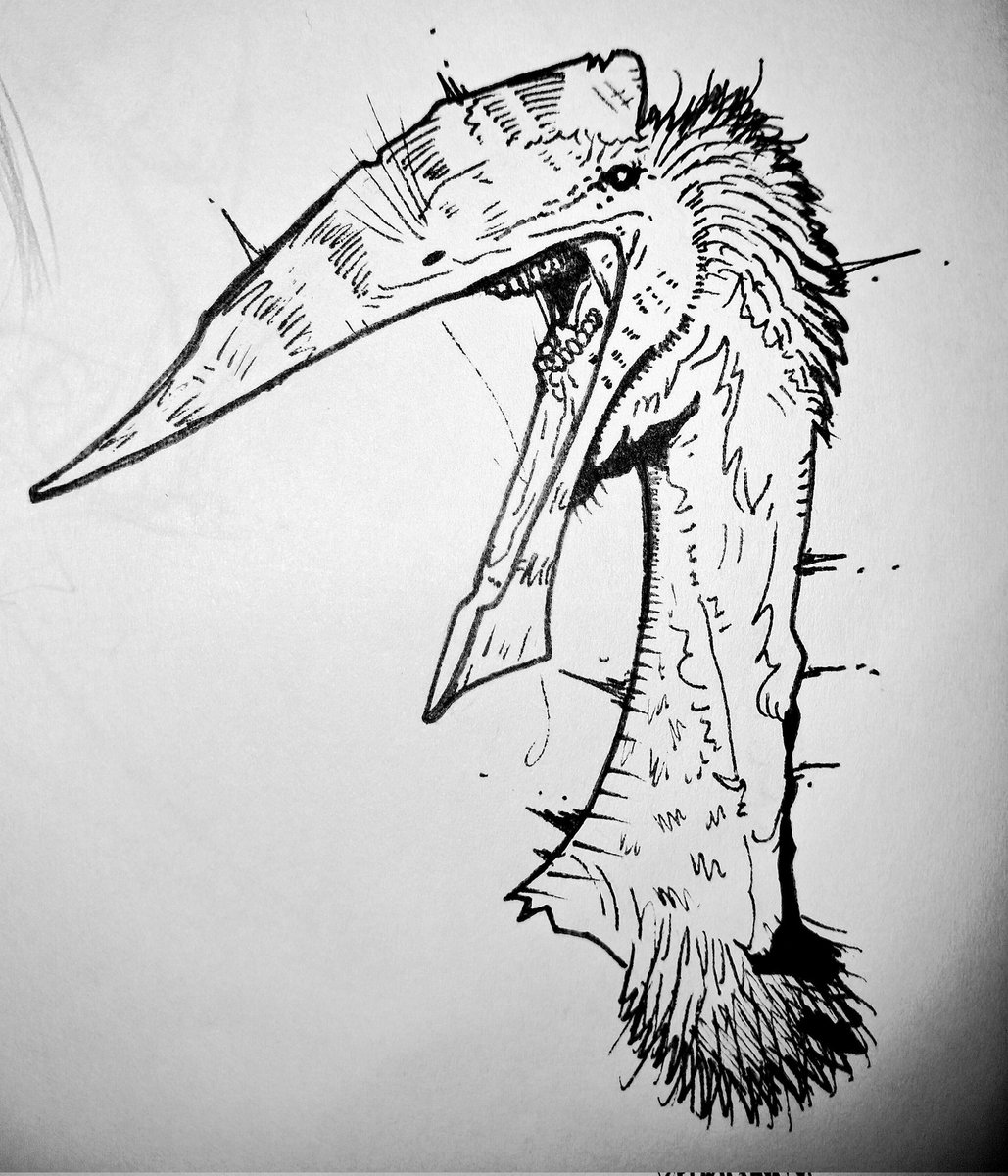 Zé do calçadão (@botanadj2408) on Twitter photo 