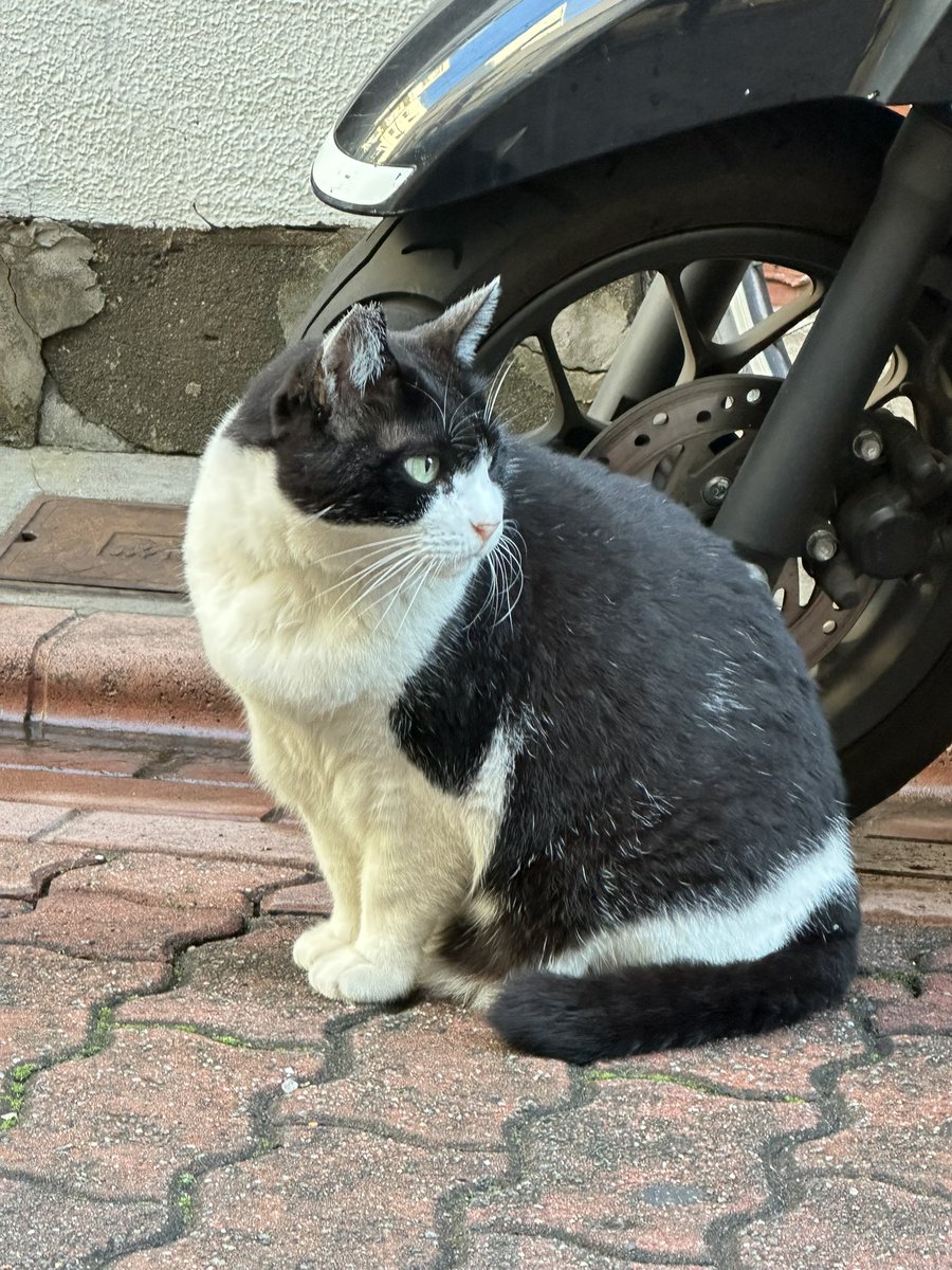 河崎淳 11/24（月）COMITIA154出陣します。 on X