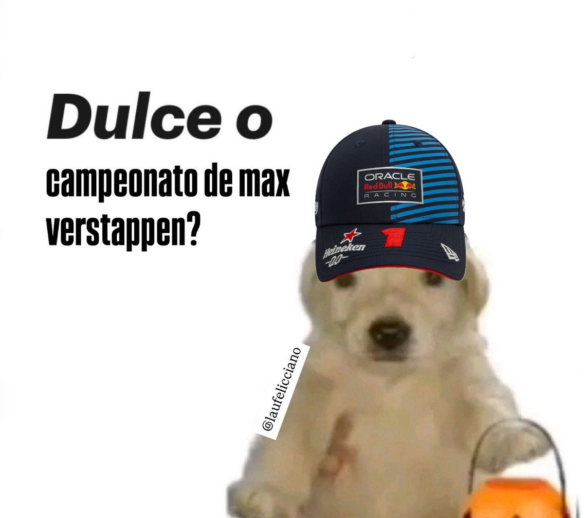 Laura Feliciano 🏎️ tweet media