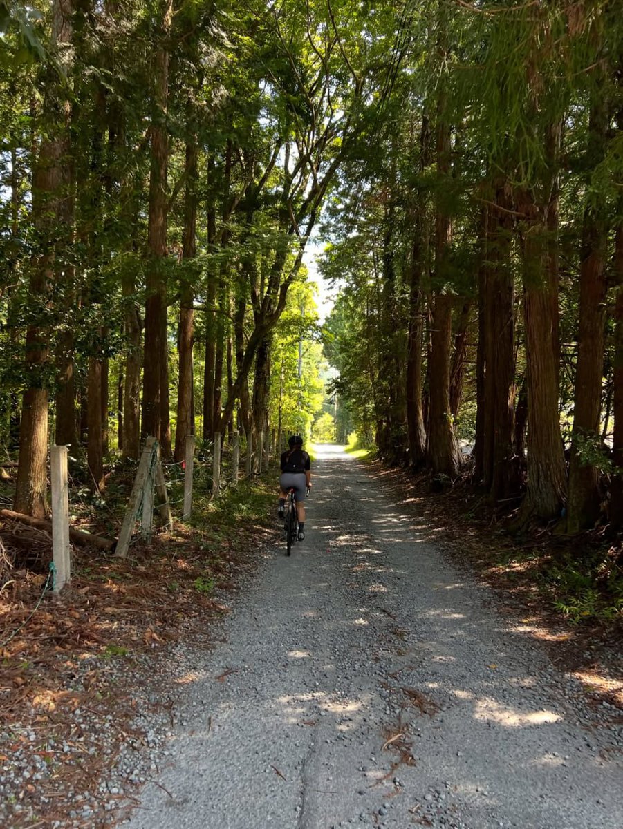 hrishikesh_kini's tweet image. Riding with the wind, chasing the sun, and soaking in the beauty of the world from two wheels. 🌞🚴‍♂️ There&apos;s no better way to see the world than on a bike, where every hill, every turn, every new route✨

#CyclingAddict #RideAndShine #BikeLove #PedalForLife #WheelsAndWanderlust