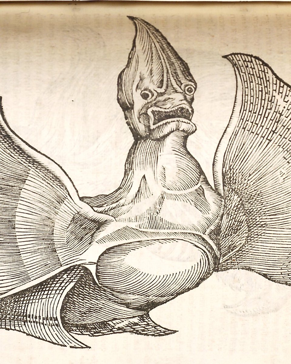 honnoldlibrary's tweet image. 💀🧟 #Spooky vibes alert — straight from our Rare Books Collection! These eerie illustrations are just a glimpse of the treasures our #SpecialCollections team cares for year-round. Have a wonderful (and safe!) #Halloween! 🎃👻

#RareBooks #Books #Archives #LibraryLife…