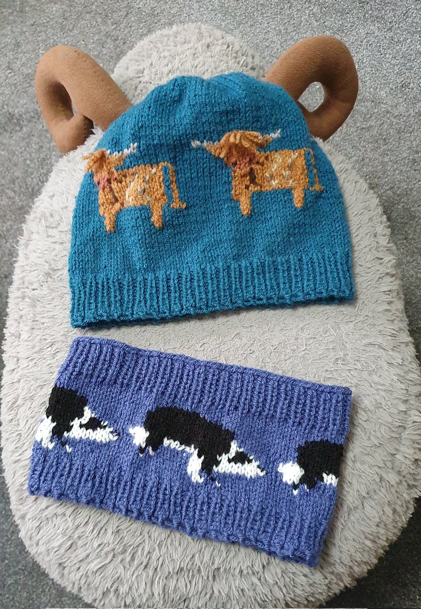 I had a happy customer this week who loved my knitted Highland cow hat &amp; Collie Dog headband- it makes me love my job that little bit more 🐕💙🐑💙