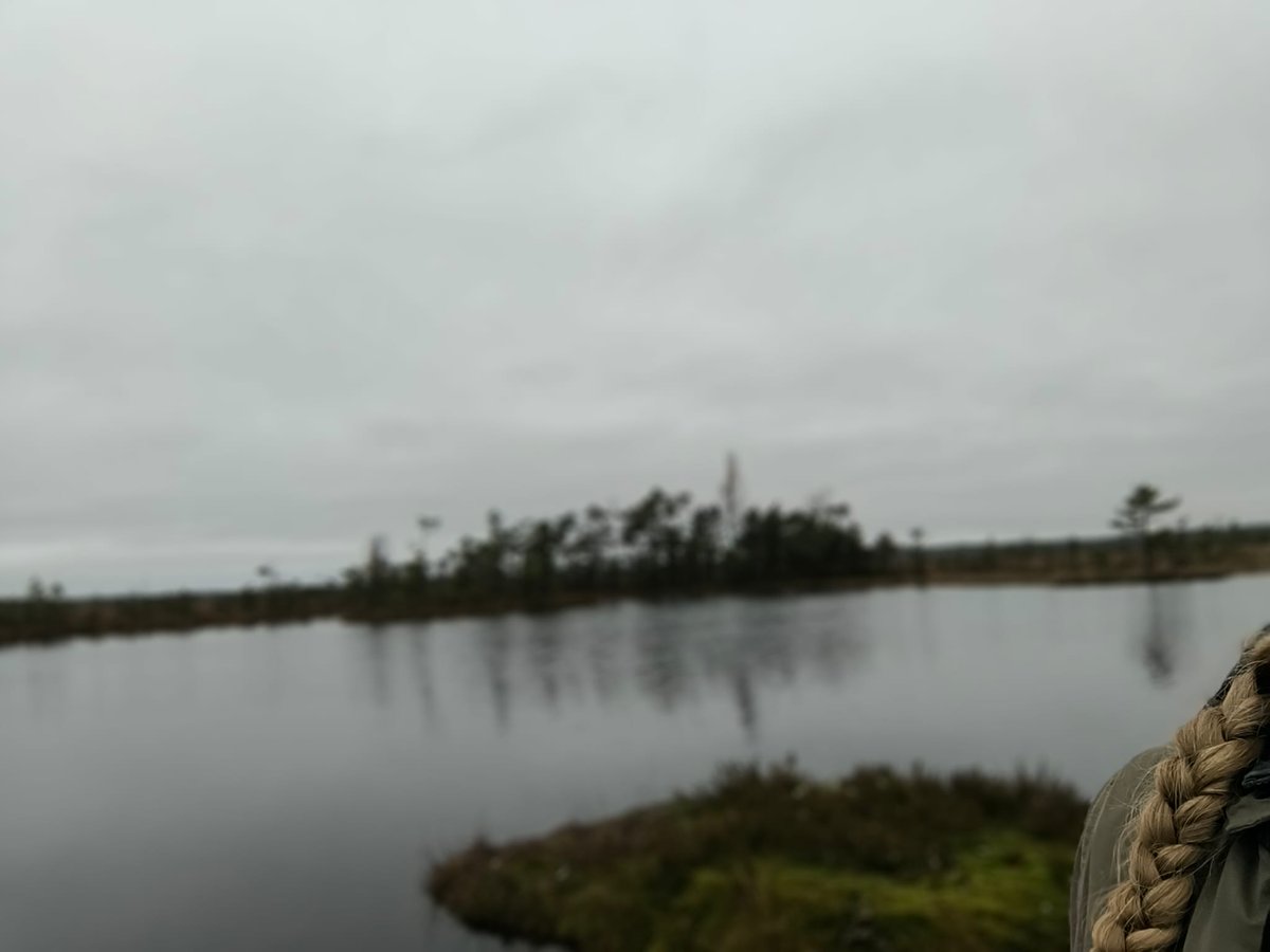 Fotogrāfija ar bizi un purva ezeriņu.