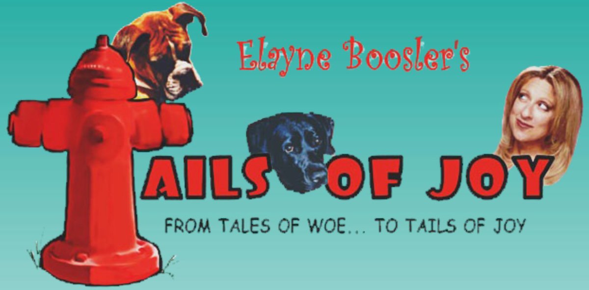 Elayne Animals & Comedy Boosler tweet media