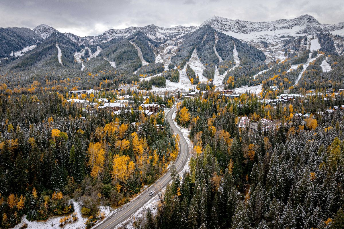 Fernie Fix Magazine tweet media