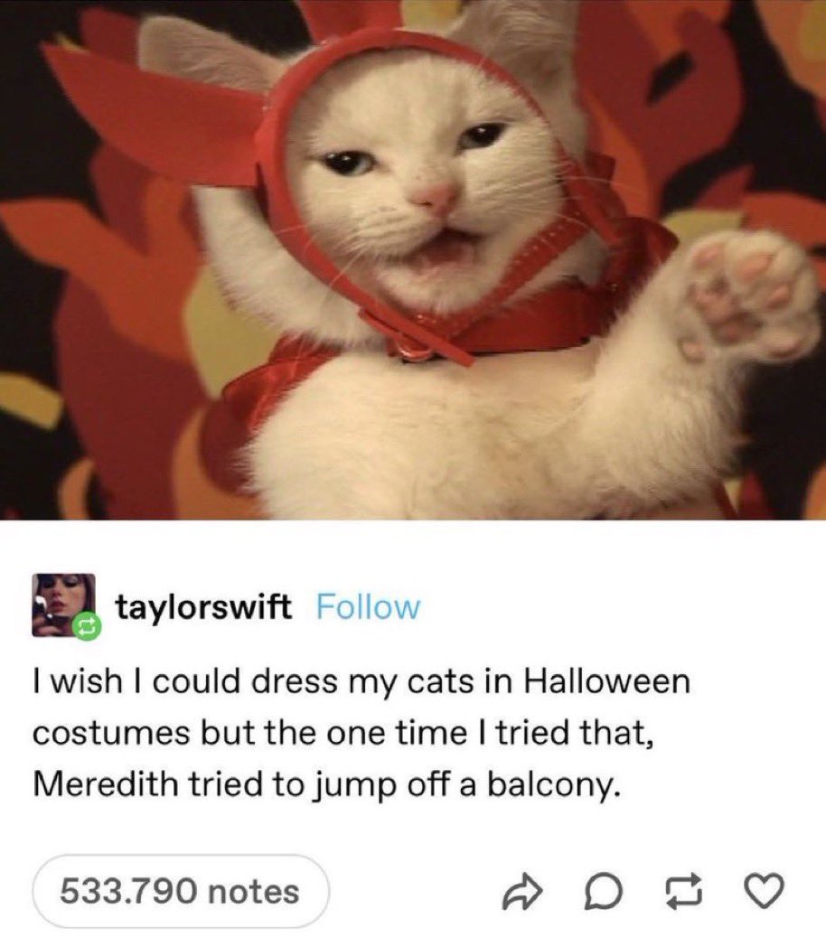 remember when taylor swift said this 😭