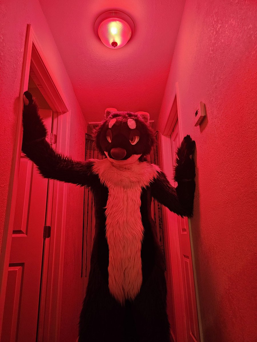 𝙅𝙐𝙉𝙄𝙋𝙀𝙍 tweet media