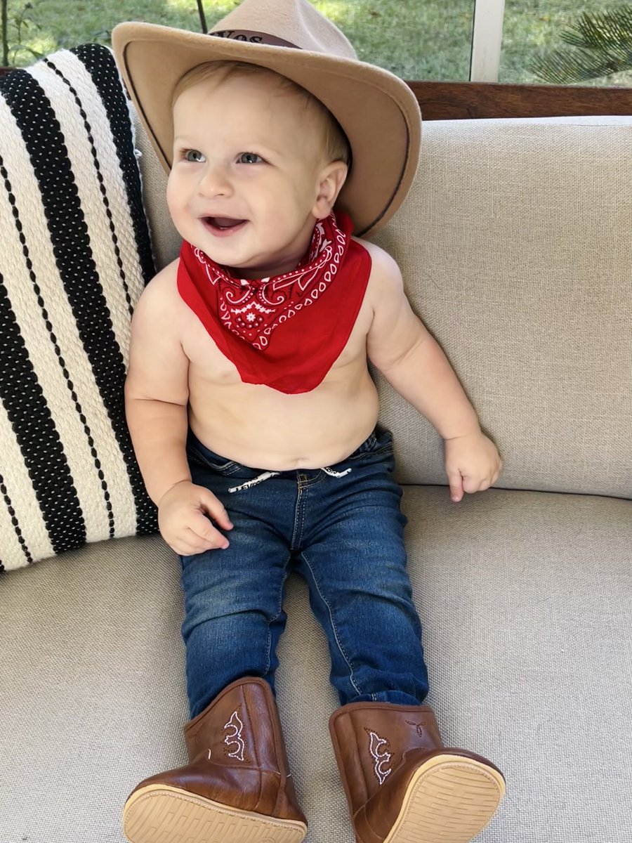 Mel Orlins tweet media