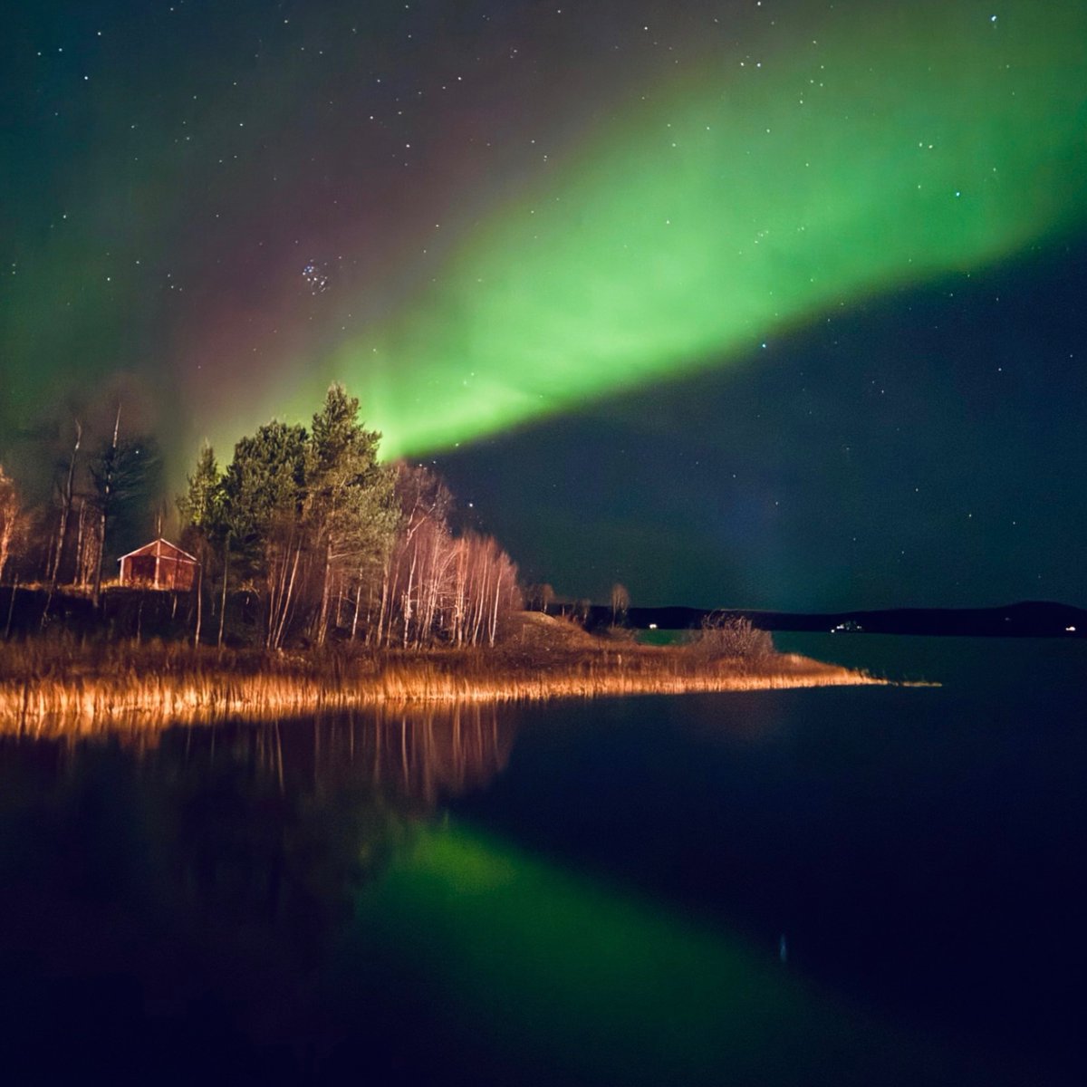 #Aurora light for a dark #Helsinki evening.

Captured in #Inari a few days ago #Lapland #Finland #Northernlights