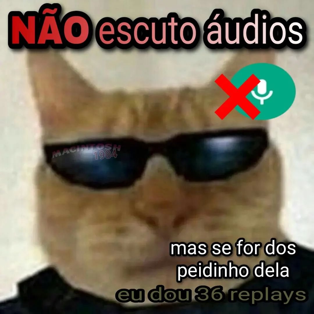 5gramasdememes's tweet photo. ✨ https://t.co/yGERIrIJsU