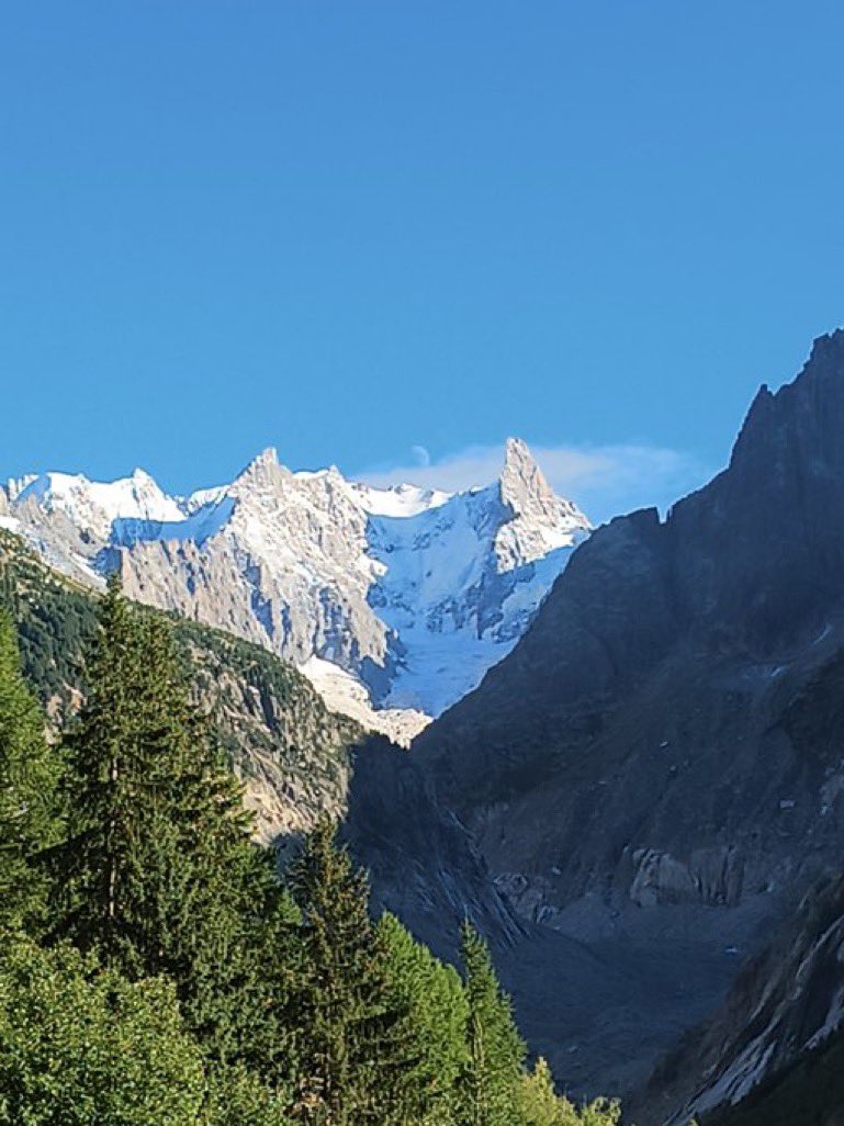 NftButtons's tweet image. Beautiful weather today @sagamonkes @weareherefun #ShotOnSeeker