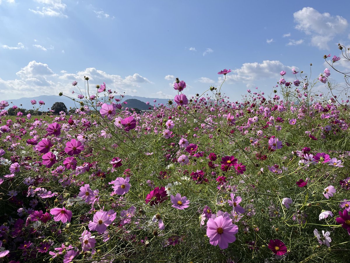 今年もこの風景を見ることができました。来年も来れたらいいな。