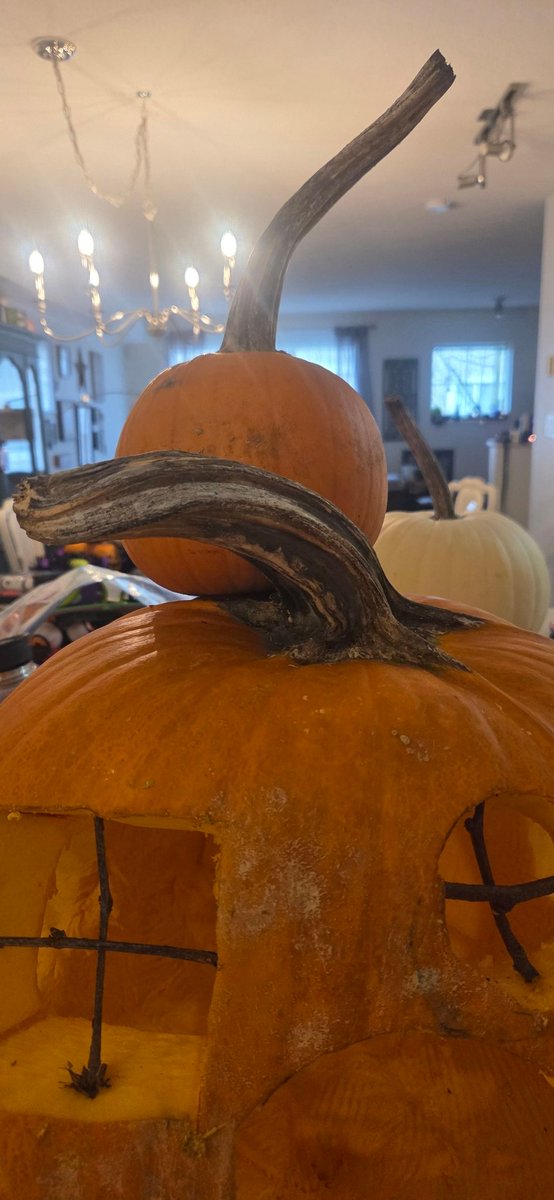 riobobbo's tweet photo. Better than saying "stave" every playoff season. We get to rock "Perduncle" at #Halloween Wait, it's actually "Peduncle?" Dang. C'mon. I ain't changing. Like Don Cherry & @DhaliwalSports I'm gonna say it my way, dammit. #PERDUNKLE #Bieska #CalandGary https://t.co/uZLjBGQODI