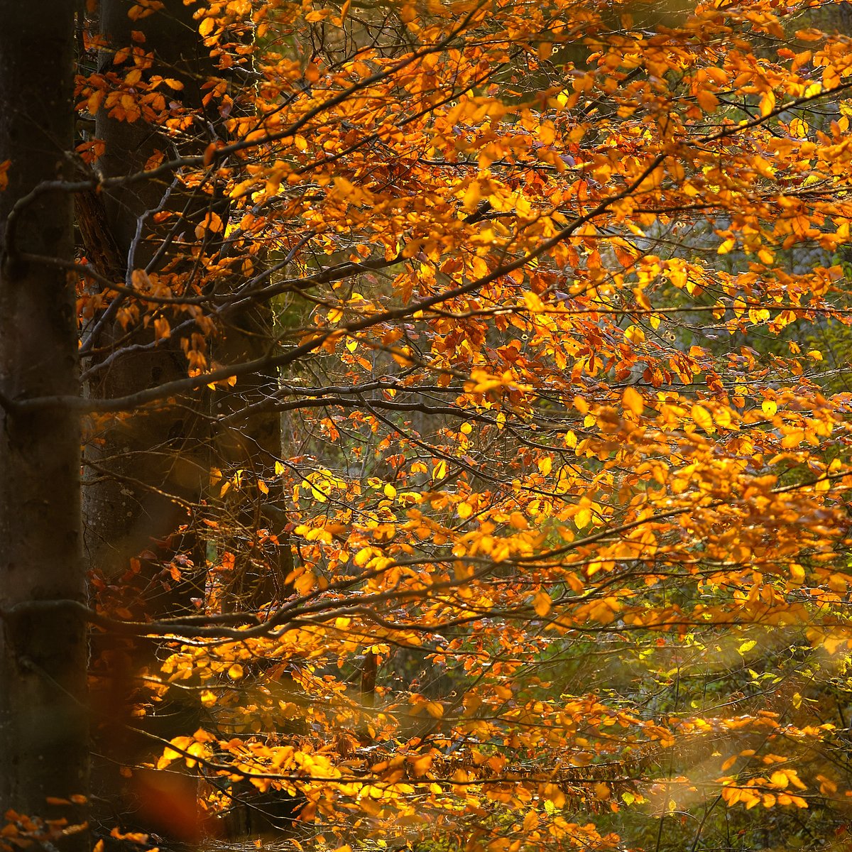 Jernej Biderman (@bidermanjernej) on Twitter photo 