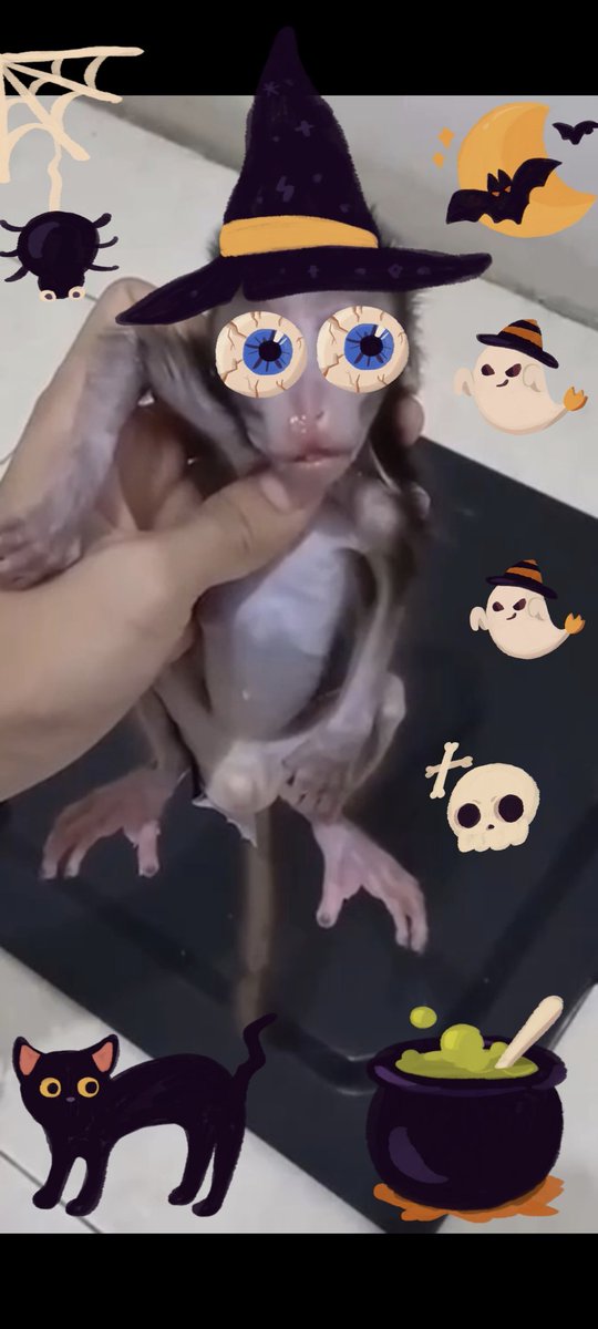 Happy Halloween!