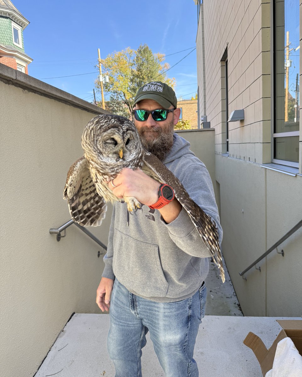 Mr. Monroe Mouse tweet media