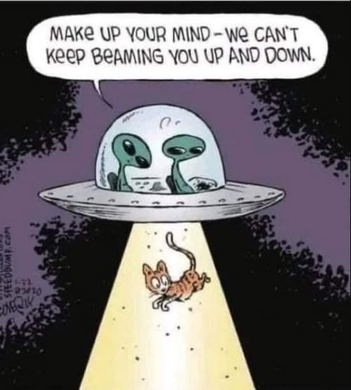 RandyHumorous's tweet image. 