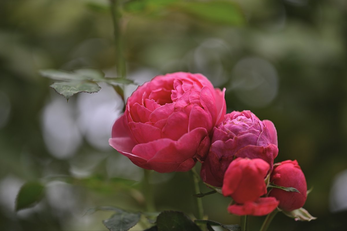 📸kazumi (@zf1118kazumi) / Posts / X