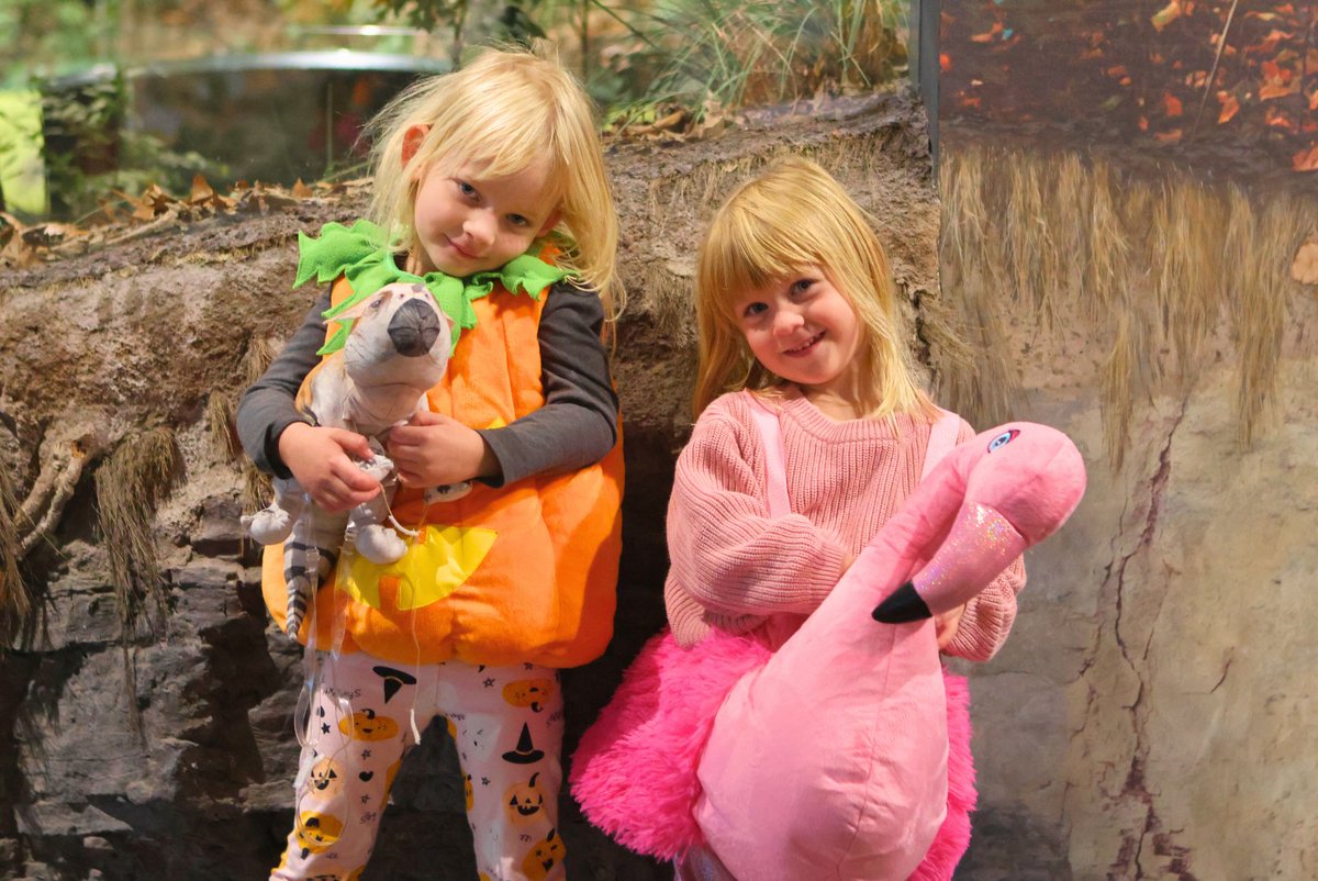 Sam Noble Museum tweet media