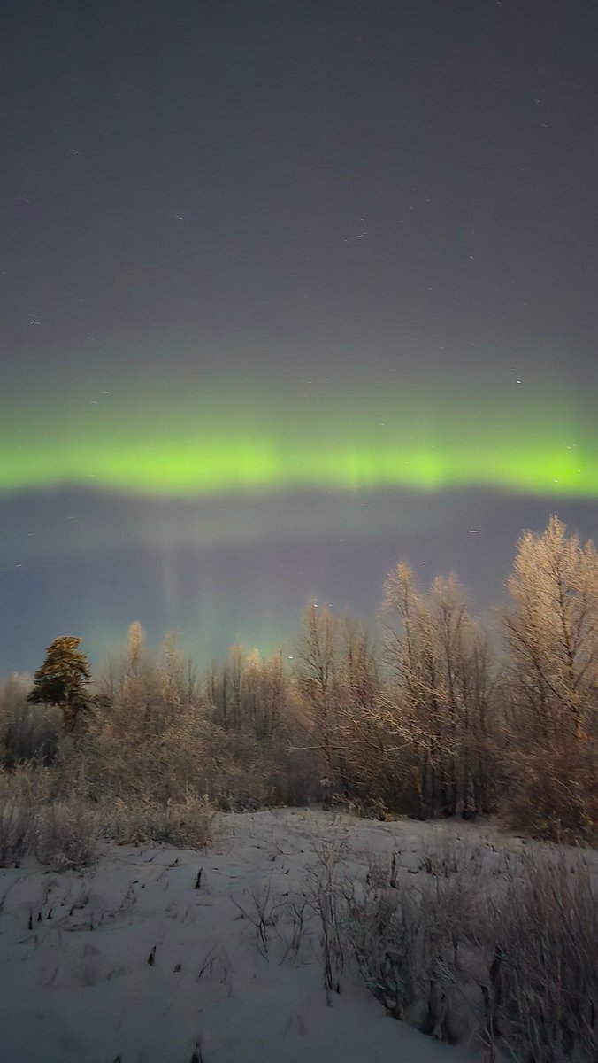 wavecurrent's tweet image. Fin ljusshow på kvällen hundpromenad 🐕‍🦺