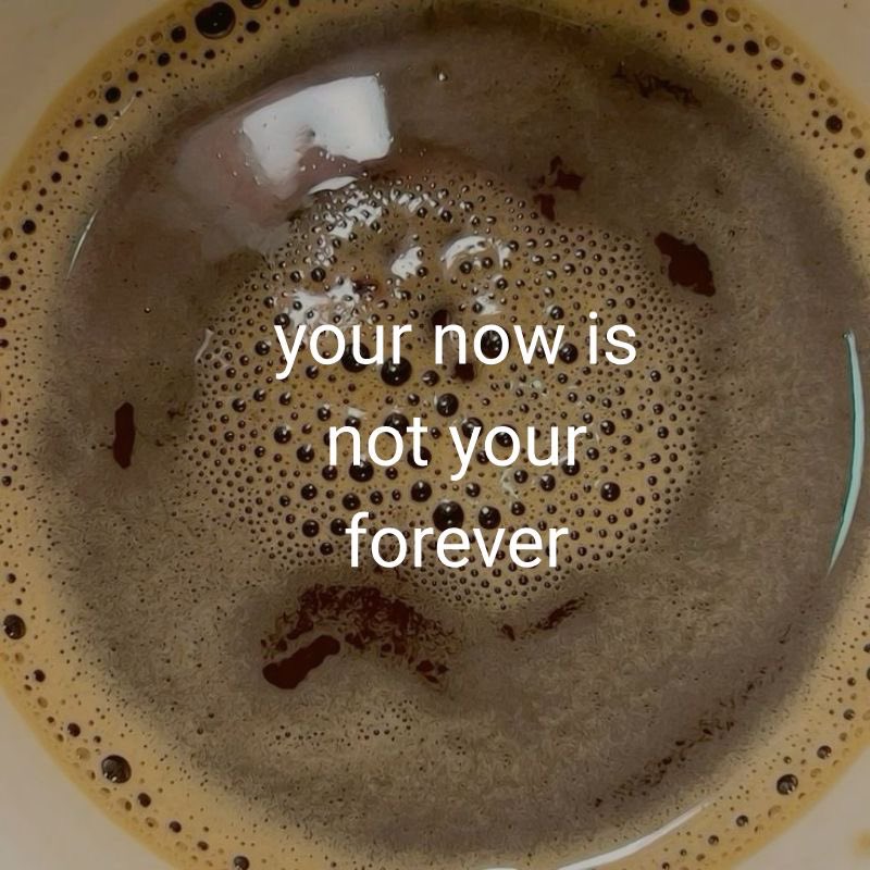 Elyria (@elyriadoll) on Twitter photo 