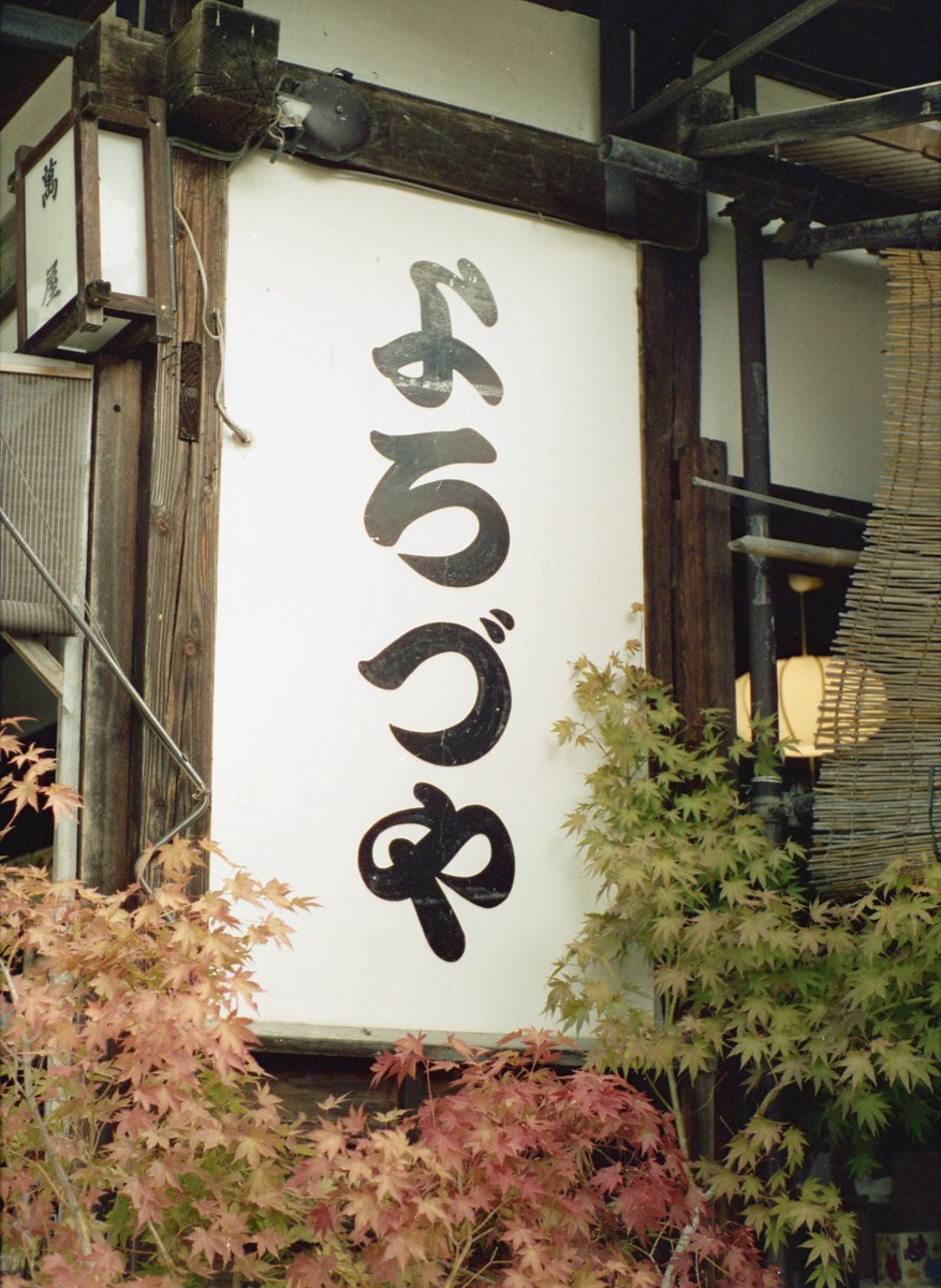 アルパカ茶 on X