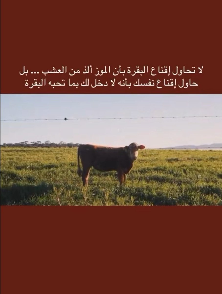 k_omn's tweet image. الكثير من #العرب في هذا الوقت الصعب يحتاج لمثل هذه النصيحة.