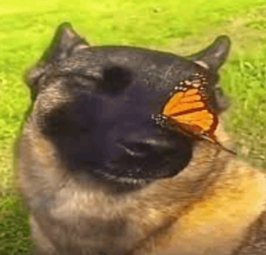 HYPEX's tweet image. 