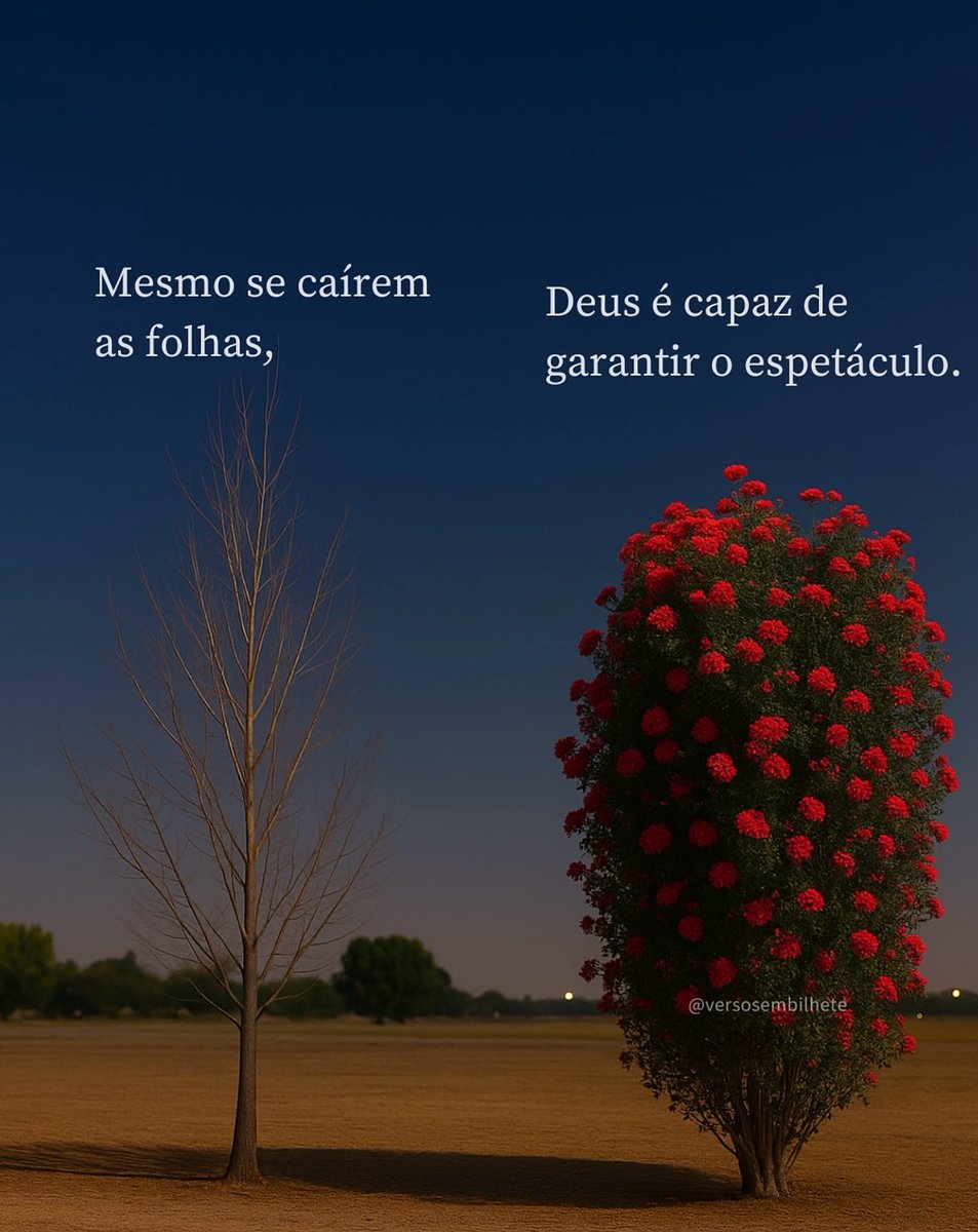 Perfeito amor (@_operfeitoamor_) on Twitter photo 