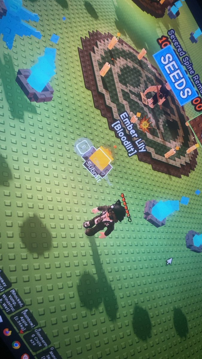 m_stery__uuuu36's tweet image. when the only missing plant is a Bloodlit Ember Lily 🥲
#Roblox #GrowAGarden #RobloxGrowAGarden #GAG #RobloxGAG