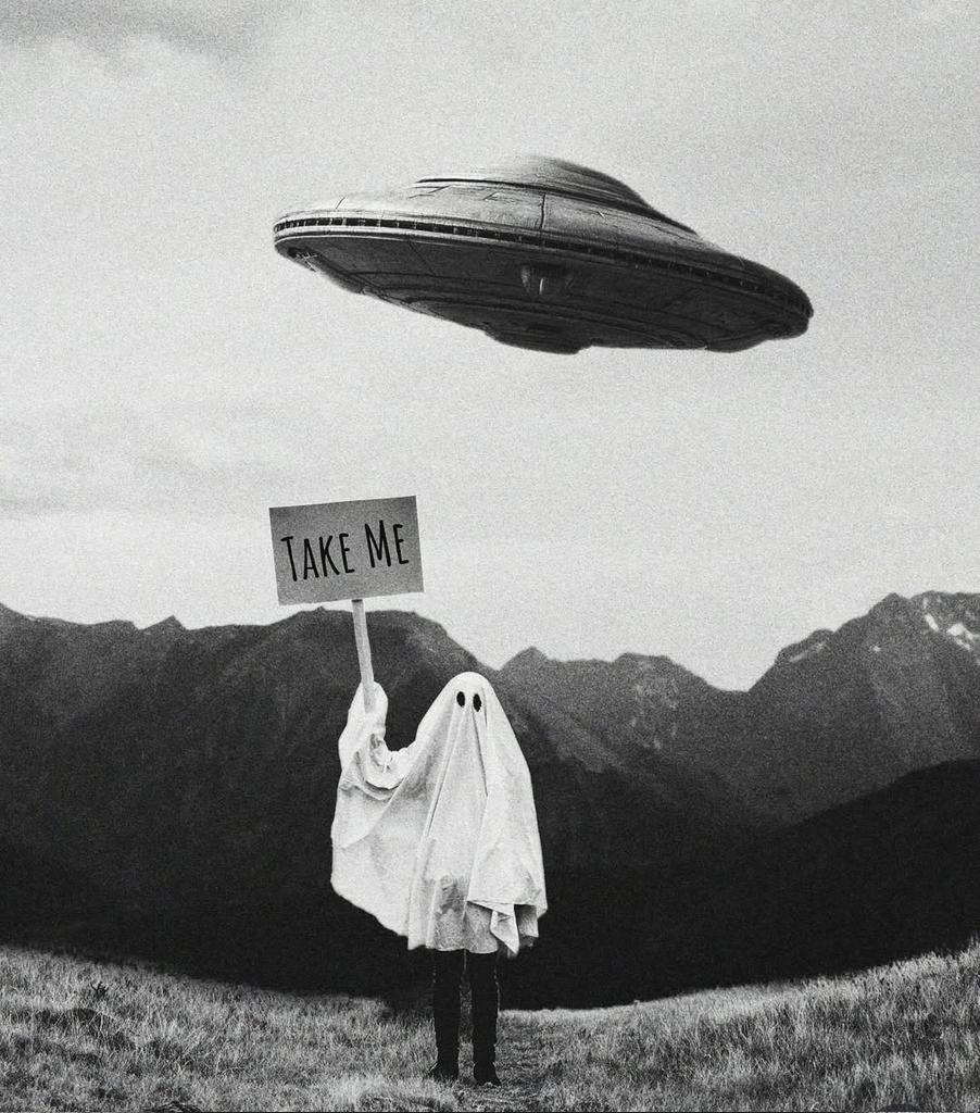 Pauper 🎈 (@lauyeahhh) on Twitter photo 