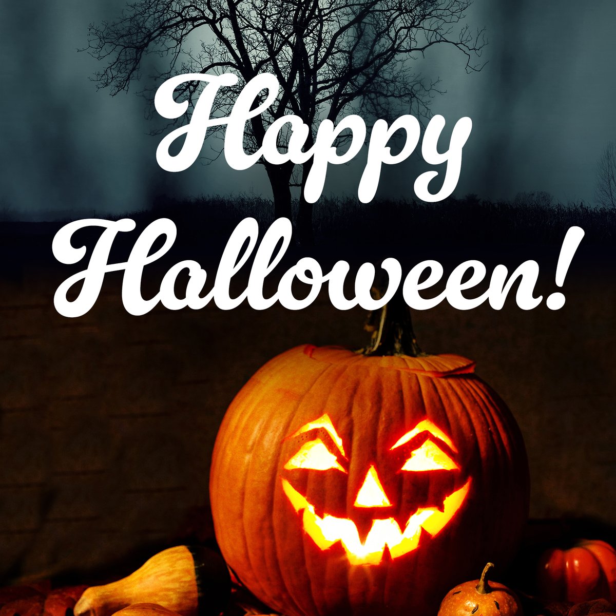 🎃 Happy Halloween from all of us! 🧙‍♀️🕸️
 
Whether you're sipping on spooky cocktails, pumpkin spice lattes, or your favorite seasonal brews, we hope your night is full of treats and good vibes. 🍹☕🍺
 
 👻Enjoy responsibly—because the best memories are the ones you remember!