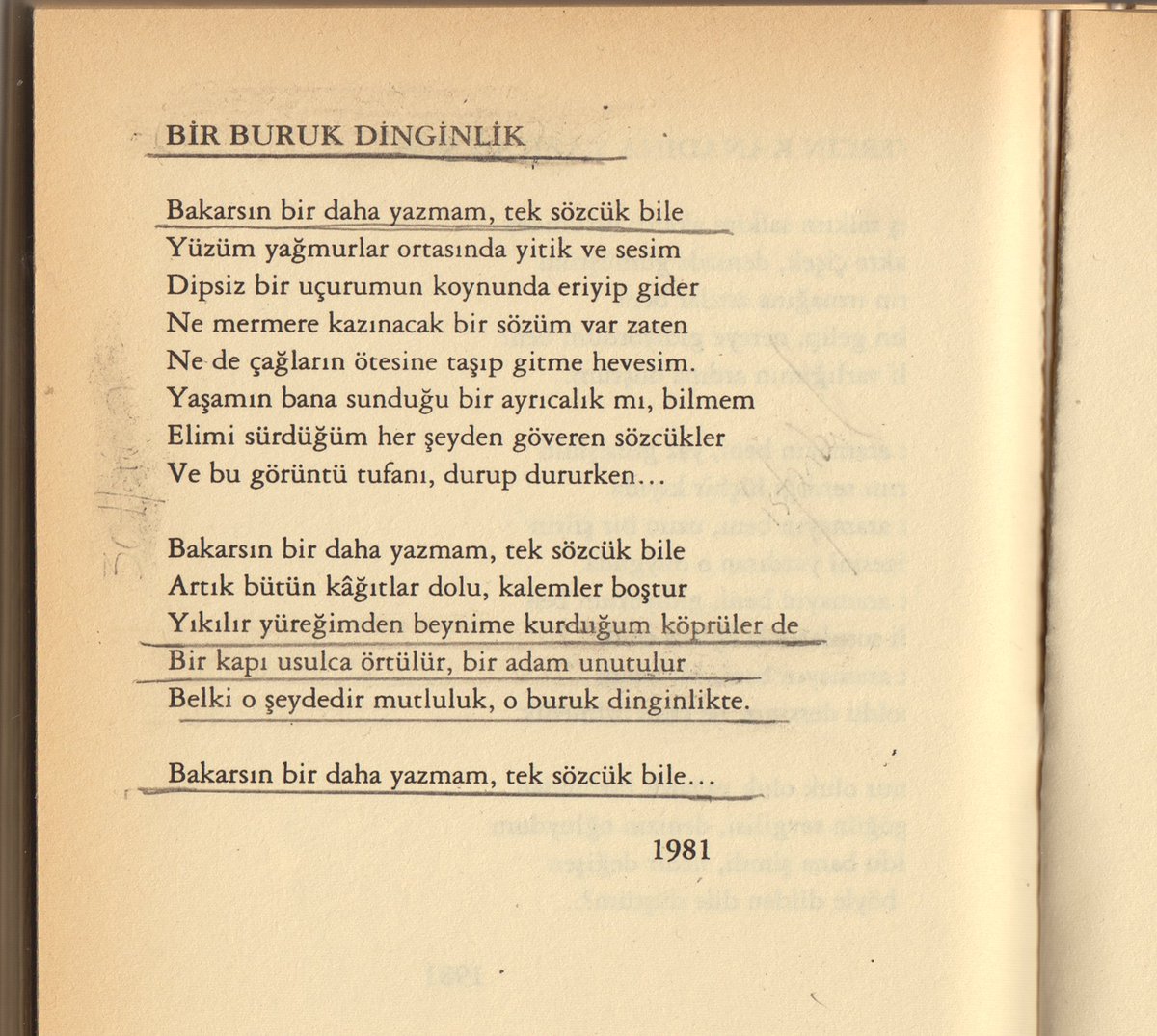ahmet erhan.

"bir buruk dinginlik"