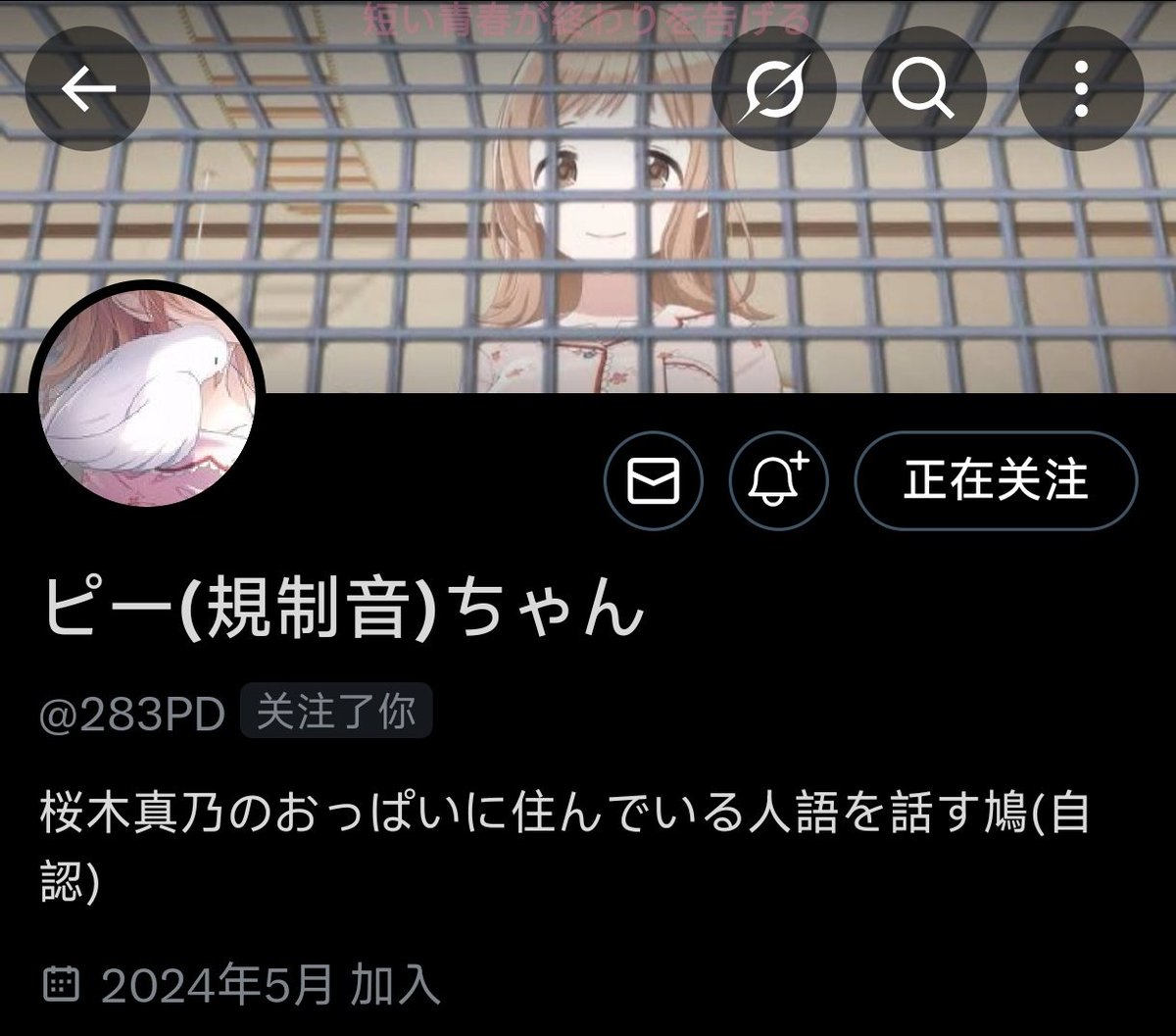 『お写真確認用!!』⑱購読者様プロフ必読- ̗̀ ෆ(  ˶'ᵕ'˶)ෆ  ̖́- 新里紅on X