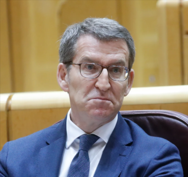 Describe a Feijóo en tres palabras o menos.