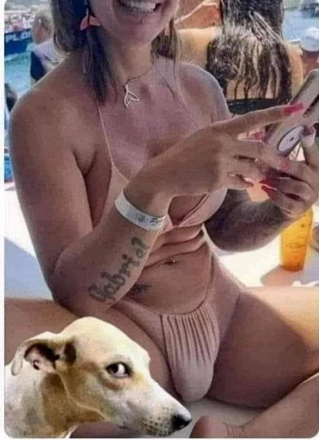 stiletoprincess's tweet image. Even the dog knows...😳😜🤪😆😂🤣