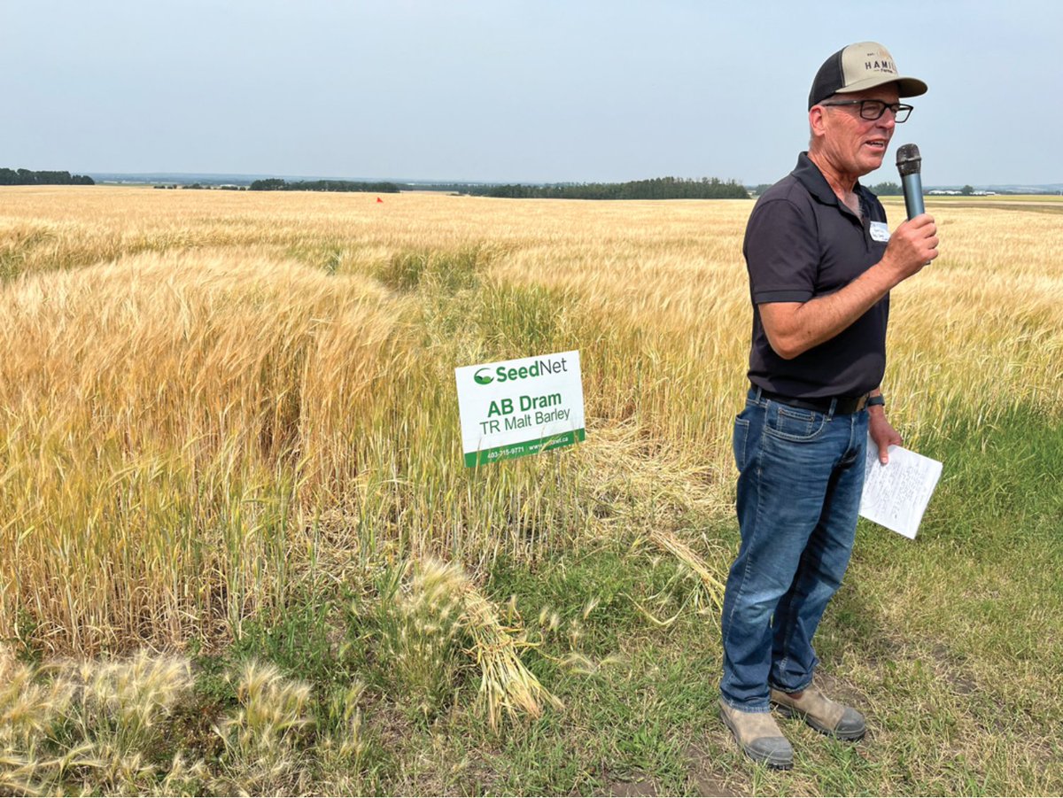 New barley variety has distillers in a spirited mood. While AB Dram meets many of the usual agronomic criteria, and performs similarly well to Copeland and Synergy, it also has a non-GN trait grainswest.com/2025/01/good-t… <a href="/AlbertaGrains/">Alberta Grains</a>