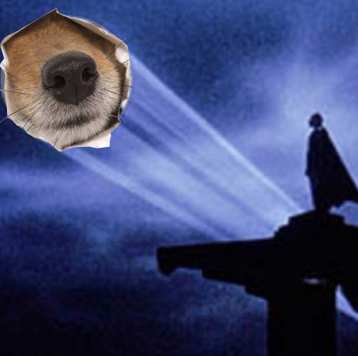 nose cto (@nose__cto) on Twitter photo 