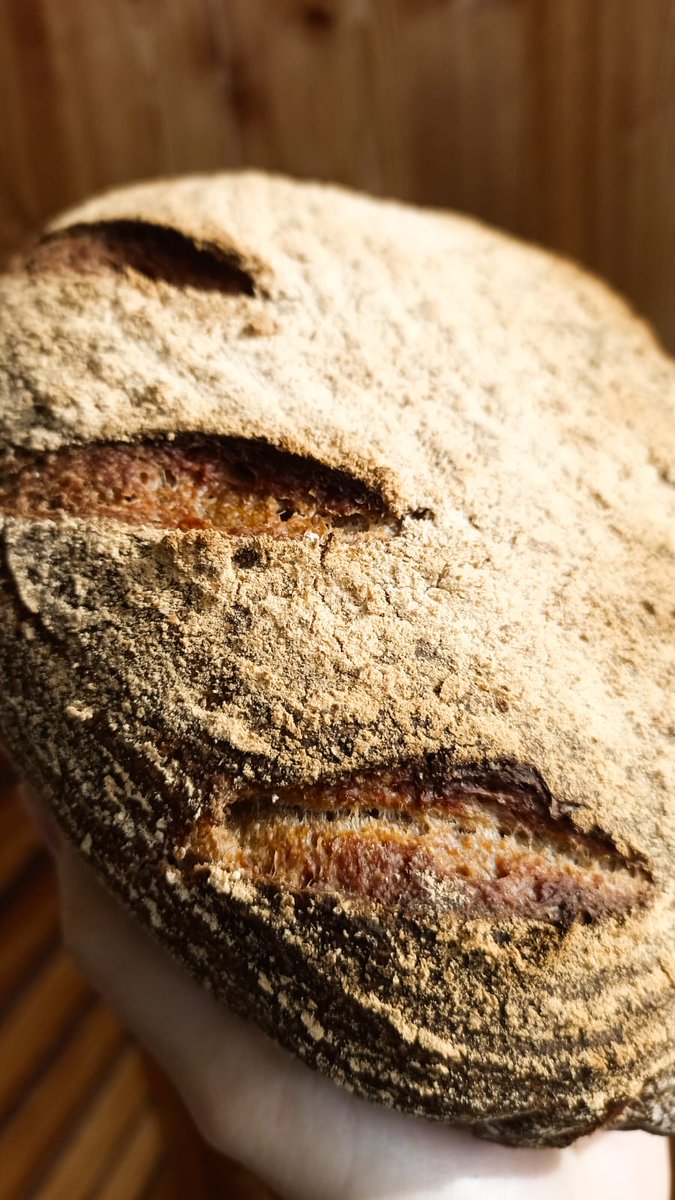 Behold the Maillard reaction