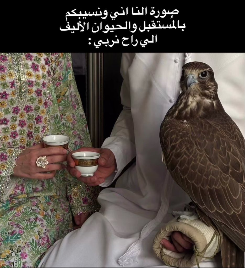 نعم هذا الي راح يصير 👍🏻