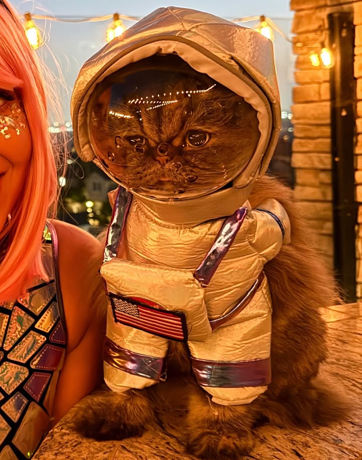 Force80107Force's tweet photo. Alien &amp; Astronaut. 👽💫🚀
Happy Halloween 👻 https://t.co/P2eJpUB1ZM