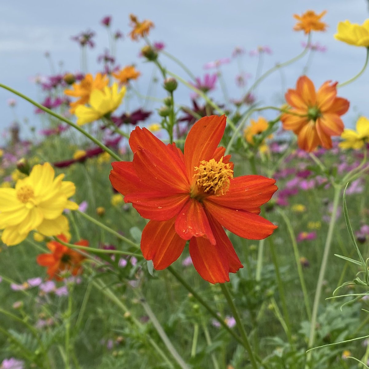 ひろみ 🦋 (@u90pVKxMdO9ffre) / Posts / X