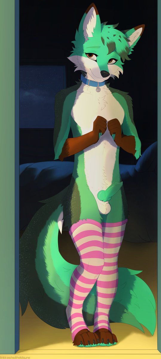 RedKitAD's tweet photo. Late at night YCH - BQtank

YCH still open, more info in the comment :3

#furrynsfw #furry #furryart #furryartwork #furrycommisions #ych https://t.co/Orv6e9aw0M