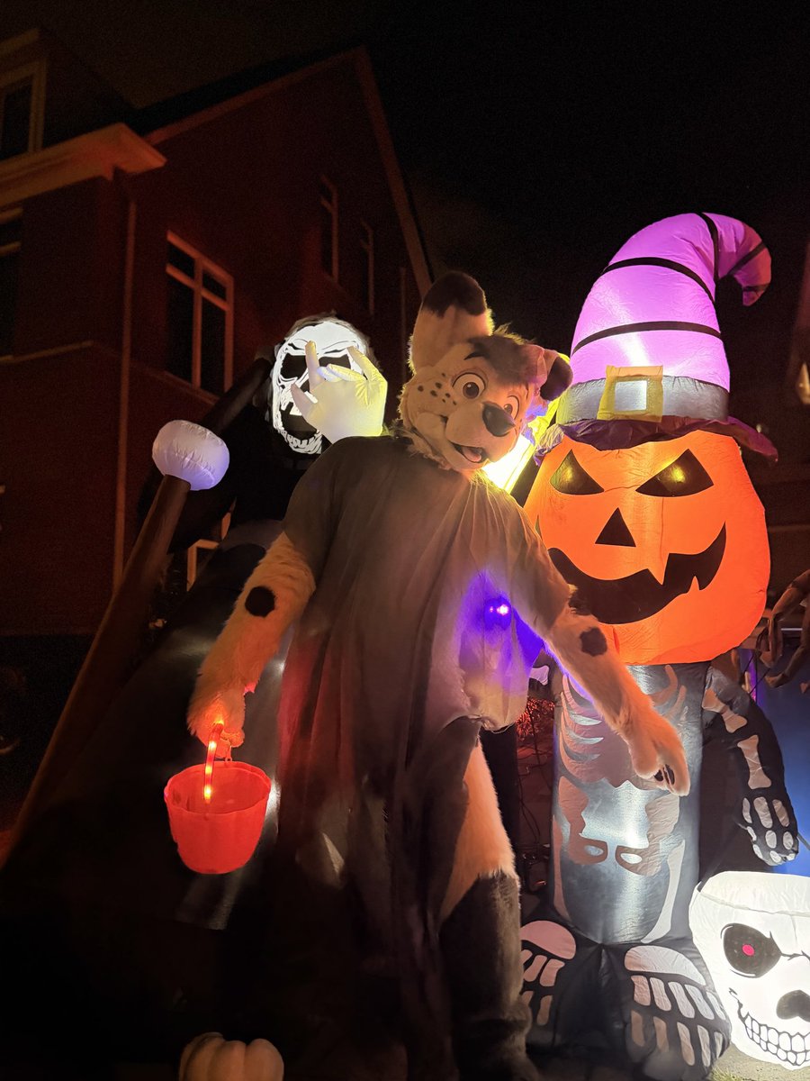 Halloween was a success 🧡👻🎃

📸: <a href="/FingoFox/">Fingo 狐 🦊🎄 🔜 EF30</a>