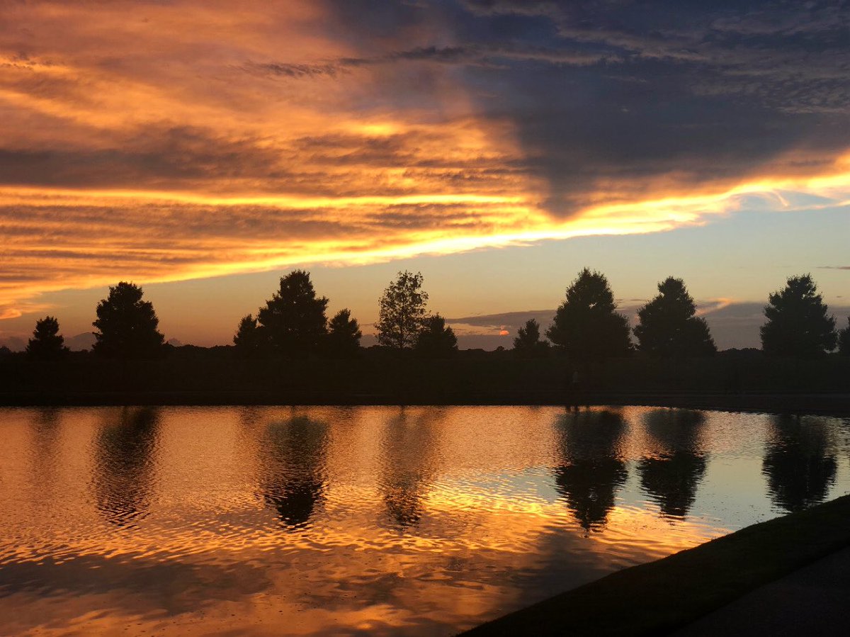 ramrumiY's tweet image. #octobervibes
📸