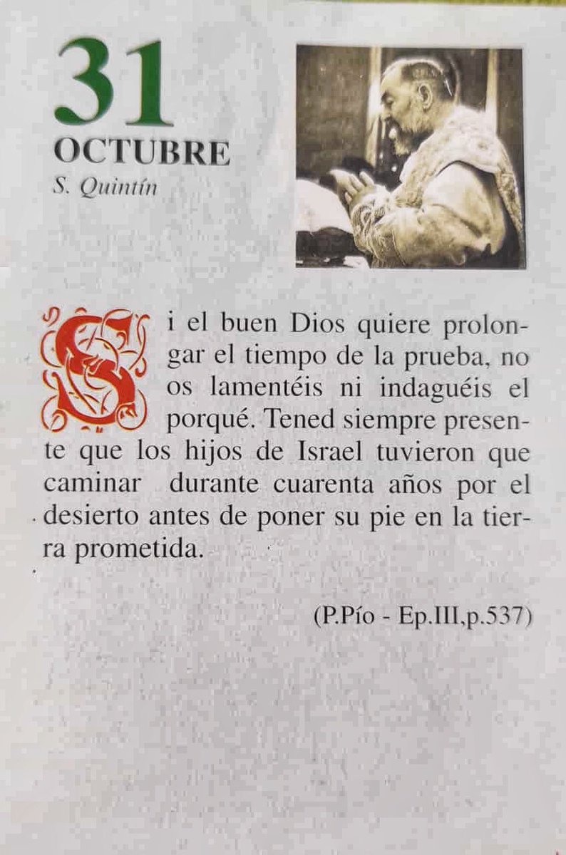 ¡Feliz Viernes 31 de Octubre!

“Si el buen Dios quiere prolongar el tiempo de la prueba, no os lamentéis ni indaguéis el por qué. Tened siempre presente que los hijos de Israel tuvieron que caminar durante 40 años por el desierto antes de poner su pie en la tierra prometida.”